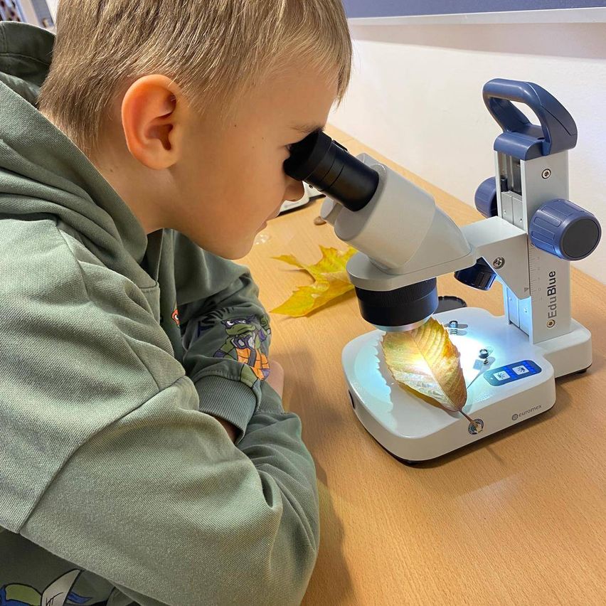 Ein junger Junge untersucht ein Blatt durch ein Mikroskop auf einem Holztisch, mit Herbstblättern um ihn herum.