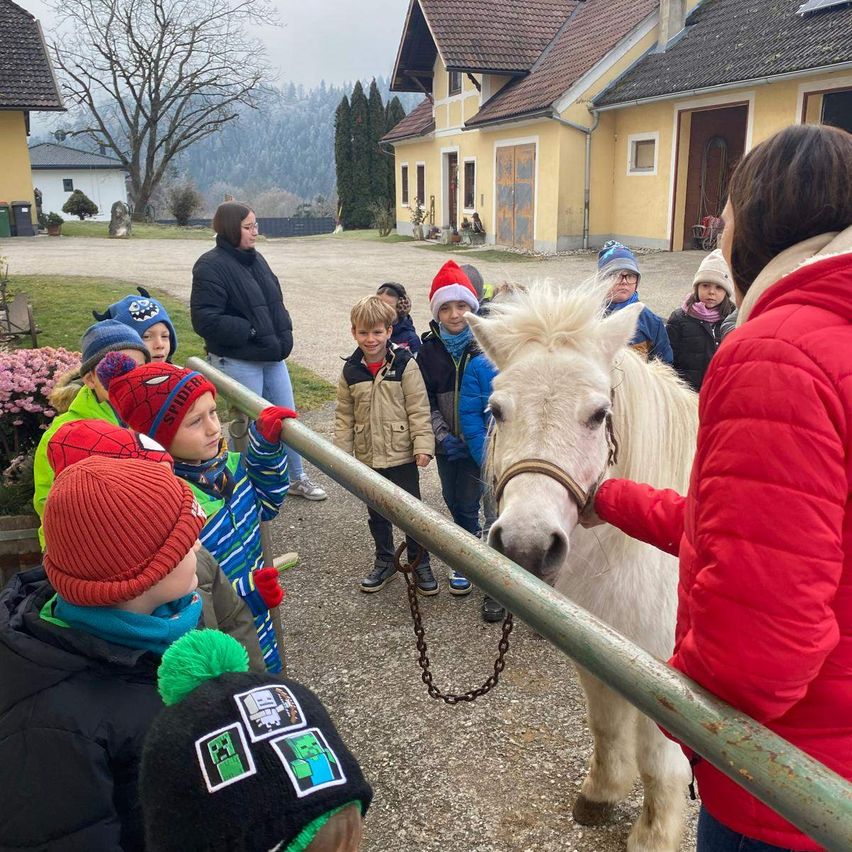 Eine Gruppe von Kindern und Erwachsenen versammelt sich um ein weißes Pferd, möglicherweise auf einem Bauernhof, im Winter. Die Kinder tragen Mützen und Handschuhe, während der Erwachsene das Pferd an der Leine hält.