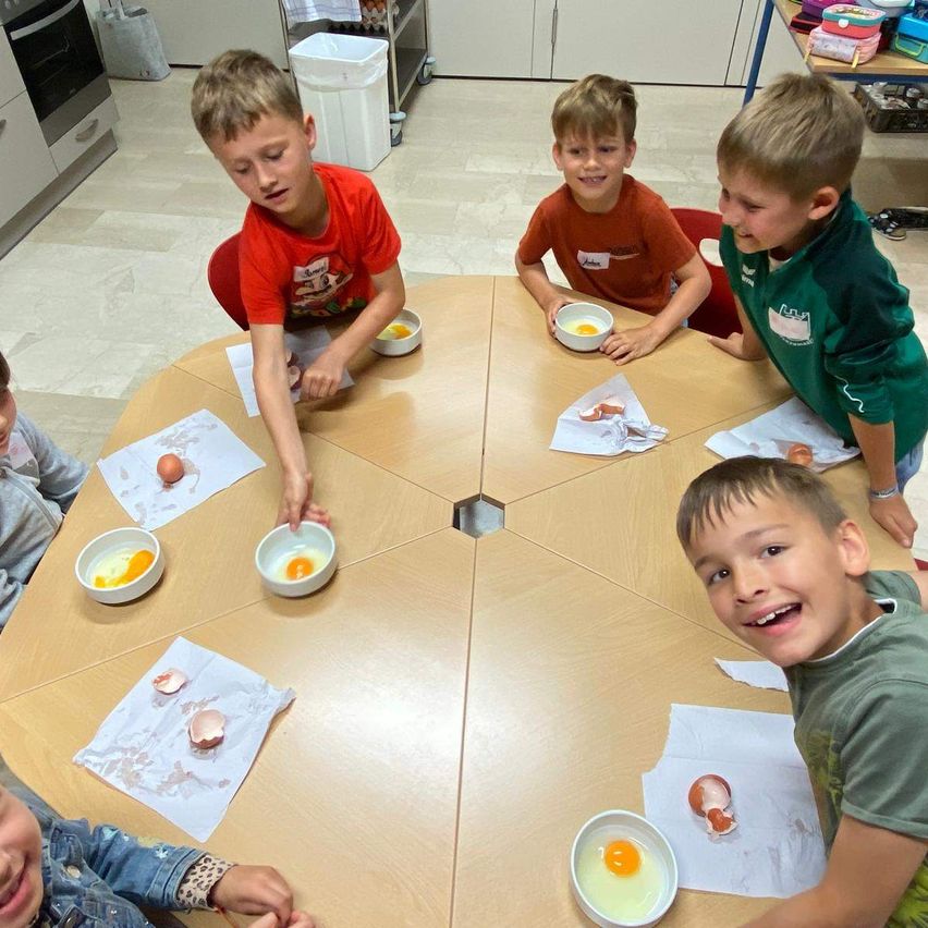Fünf junge Jungen sitzen an einem sechseckigen Tisch, jeder mit einer Schüssel Eier. Sie scheinen an einer Aktivität teilzunehmen, möglicherweise einer Koch- oder Wissenschaftsstunde.