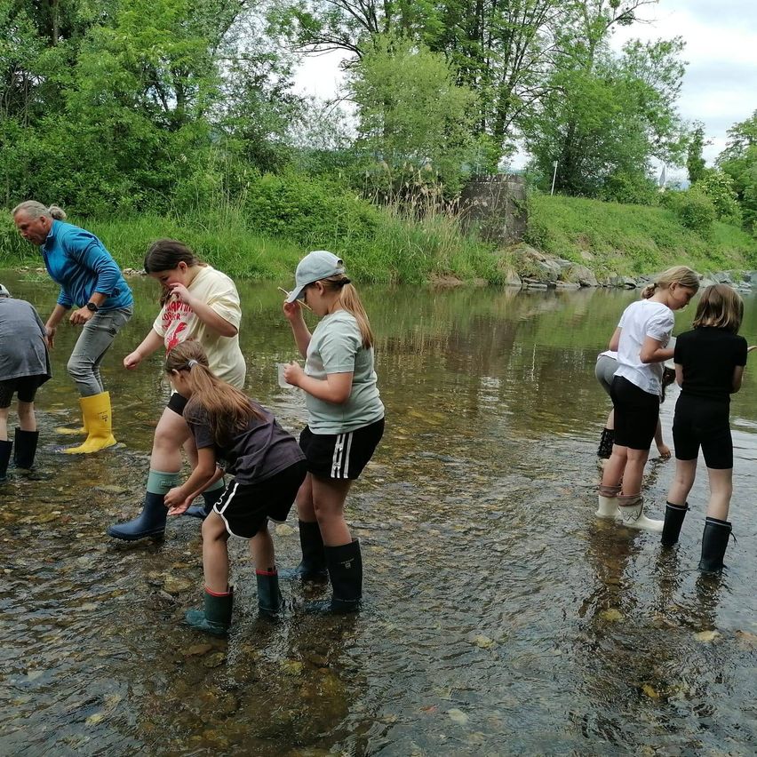 Eine Gruppe von Menschen in Gummistiefeln steht in einem Fluss. Sie schauen etwas im Wasser an. Hinter ihnen sind Bäume und Büsche.