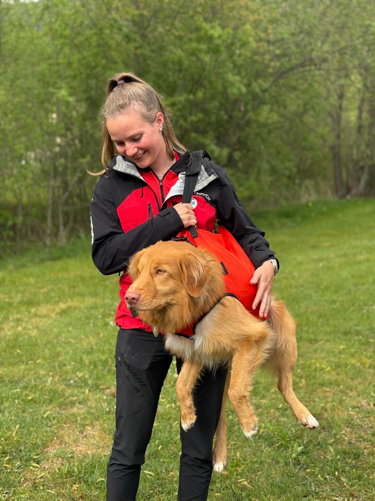 Eine Frau in einer roten und schwarzen Jacke hält einen braunen Hund mit rotem Geschirr auf einem Grasfeld.