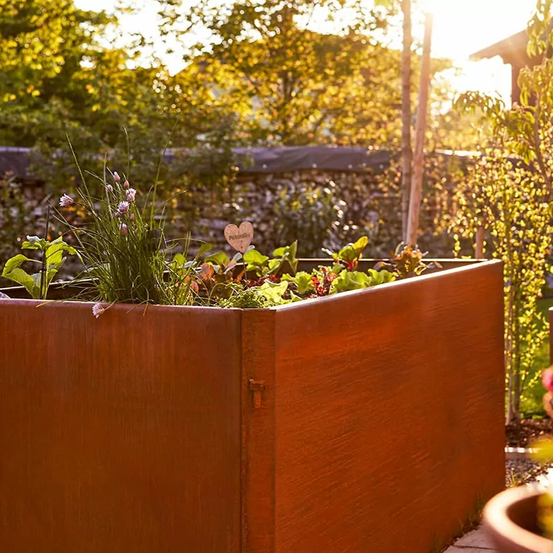 Jar, Plant, Planter, Potted Plant, Pottery, Vase, Interior Design, Garden, Nature, Backyard