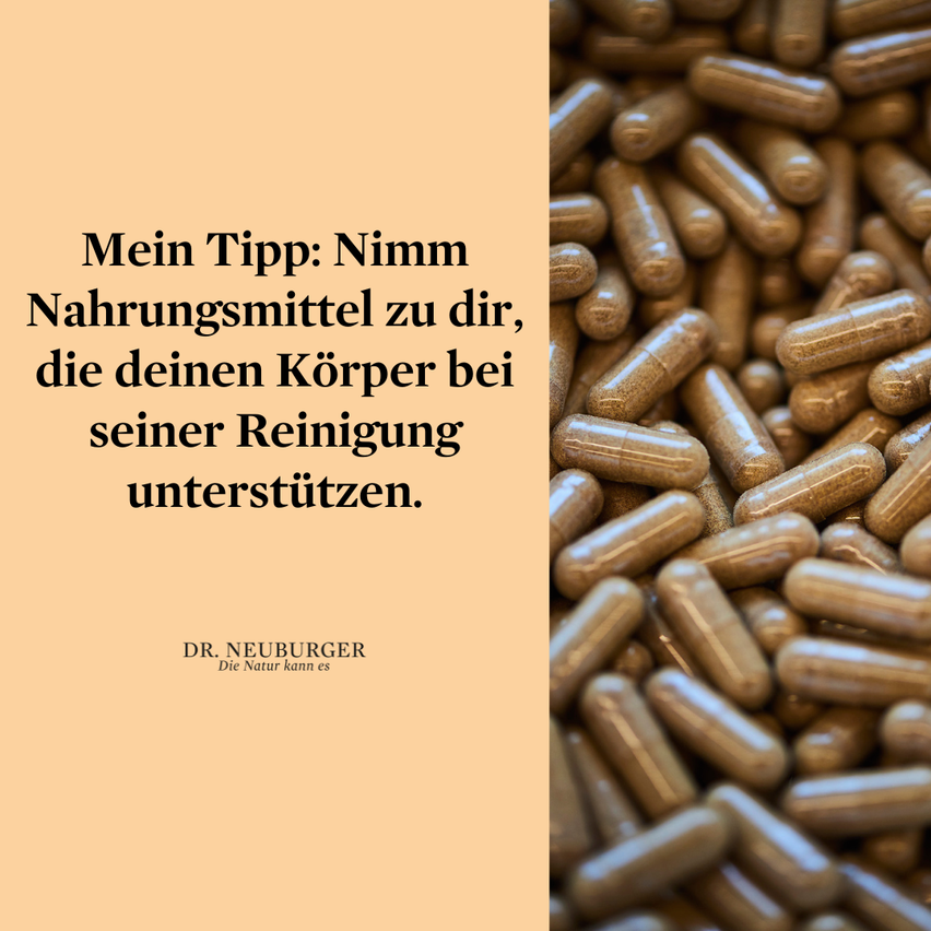 Bild enthält, Medication, Pill, Herbal, Herbs, Plant