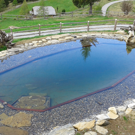 Bild enthält, Nature, Outdoors, Pond, Water, Scenery, Backyard, Yard, Pool, Swimming Pool