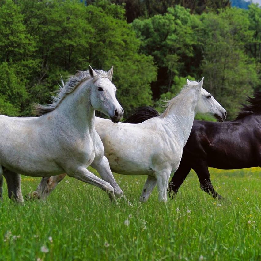 v1_migrated_image_15693069