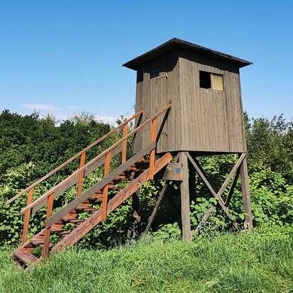 v1_migrated_image_26529364