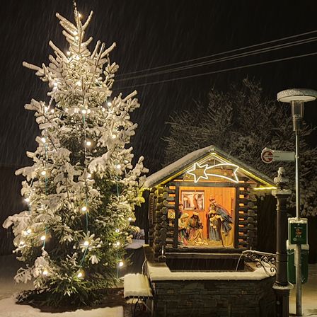 Bild enthält, Christmas, Christmas Decorations, Festival, Christmas Tree, Person