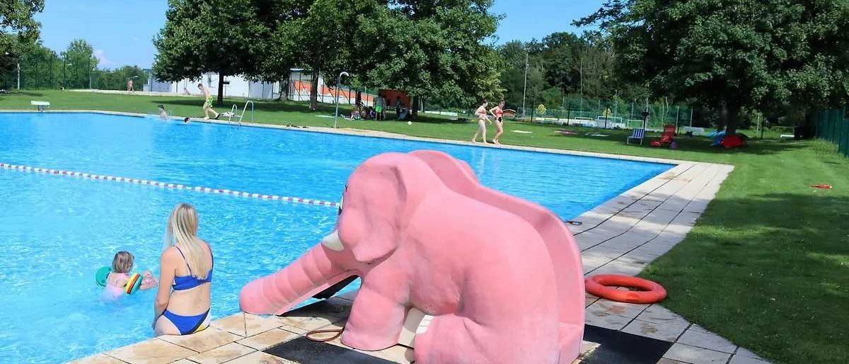 Bild enthält, Person, Swimming, Grass, Outdoors, Park, Pool, Swimming Pool, Summer, Tree, Swimwear