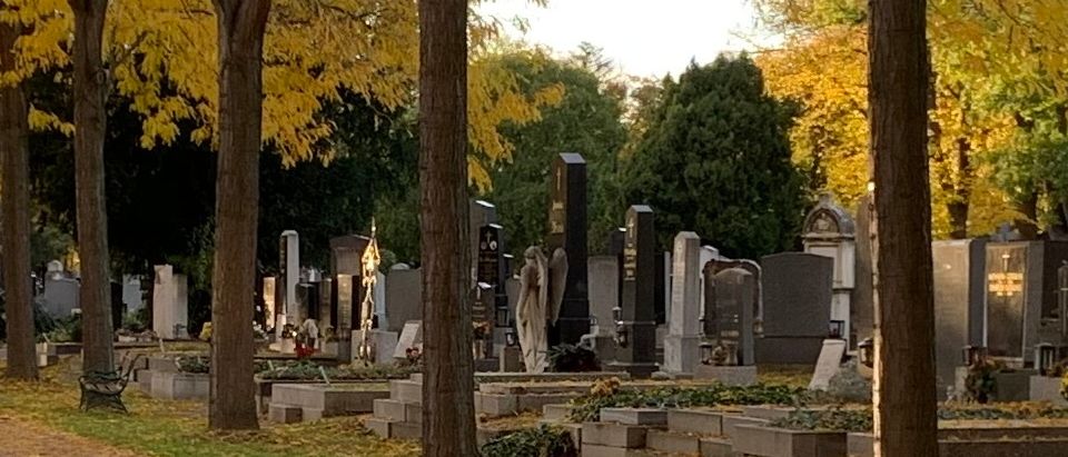 Ein Friedhof mit vielen Grabsteinen, Bäumen mit gelben Blättern und einem klaren Himmel. Der Boden ist mit Gras und gefallenen Blättern bedeckt.