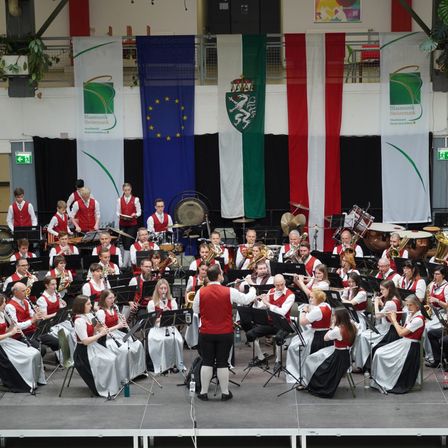 Bild enthält, Group Performance, Music, Music Band, Musician, Performer, Person, Indoors, People, Orchestra, Plant