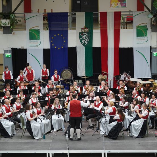 Bild enthält, Group Performance, Music, Music Band, Musician, Performer, Person, Indoors, People, Orchestra, Plant