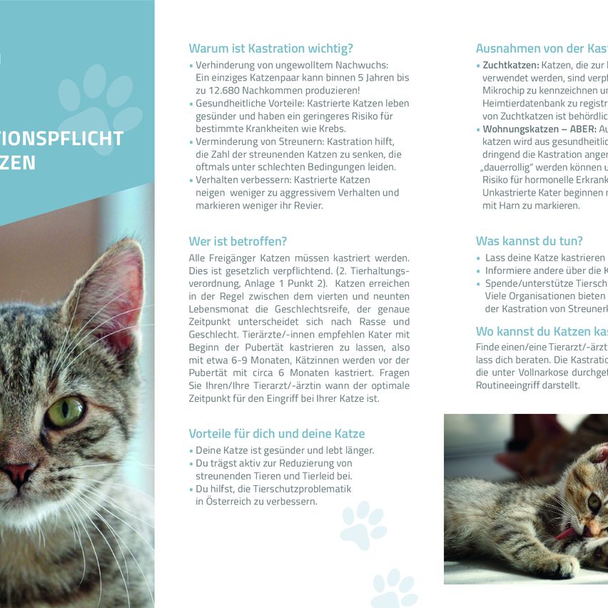 Ein Flyer mit dem Titel 'IONSPFLICHT ZEN' befasst sich mit der Kastration von Katzen. Er betont die Verhinderung unerwünschter Würfe, gesündere Katzen, weniger Markieren und Sprayen sowie verbessertes Verhalten. Der Flyer informiert auch über die Notwendigkeit der Kastration, den Zeitpunkt und die Vorteile der Kastration.