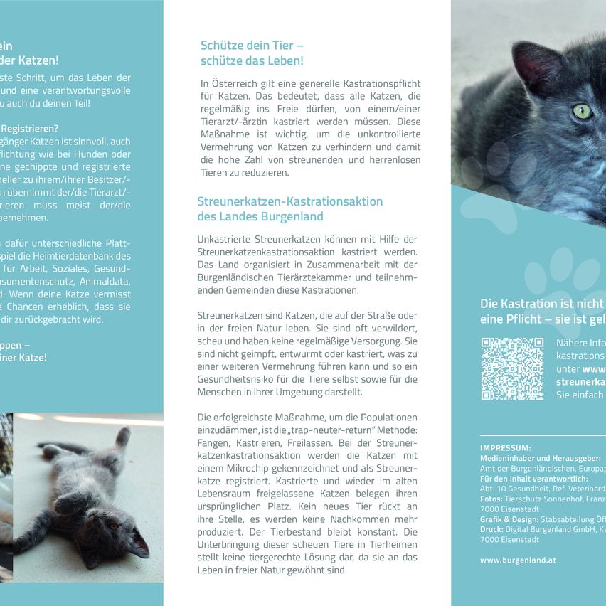 Das Bild behandelt die Kastration von Katzen in Österreich und betont deren Bedeutung zur Verhinderung unkontrollierter Zucht und der hohen Zahl streunender und herrenloser Katzen. Es erwähnt das Kärntner Katzenkastrationsgesetz, das die Kastration von Freigängerkatzen erleichtert. Weitere Details zum erfolgreichen 'Fang-Kastriere-Rücksetze'-Verfahren werden gegeben, wobei hervorgehoben wird, dass Katzen mit Mikrochips registriert und kastriert werden. Die Vorteile der Kastration für die Gesundheit der Katzen und die Kontrolle der Population werden erläutert.