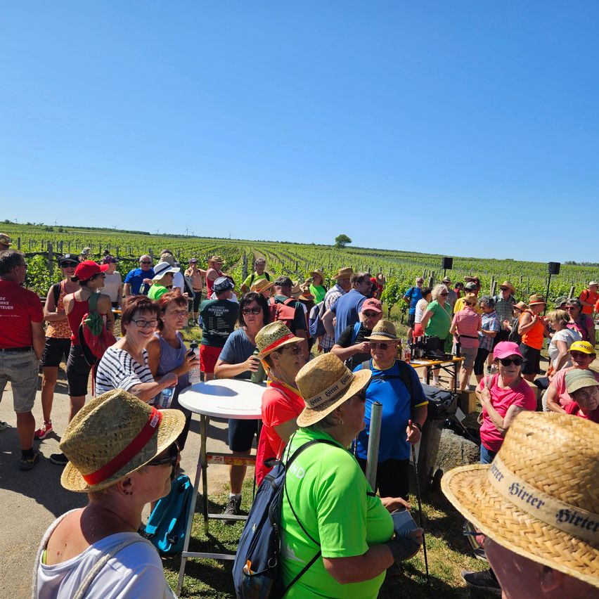 A group of people wearing hats and sunglasses are standing in a field. They are probably tourists on a tour. In front of them is a table with a bottle. In the distance is a vineyard under a clear sky.