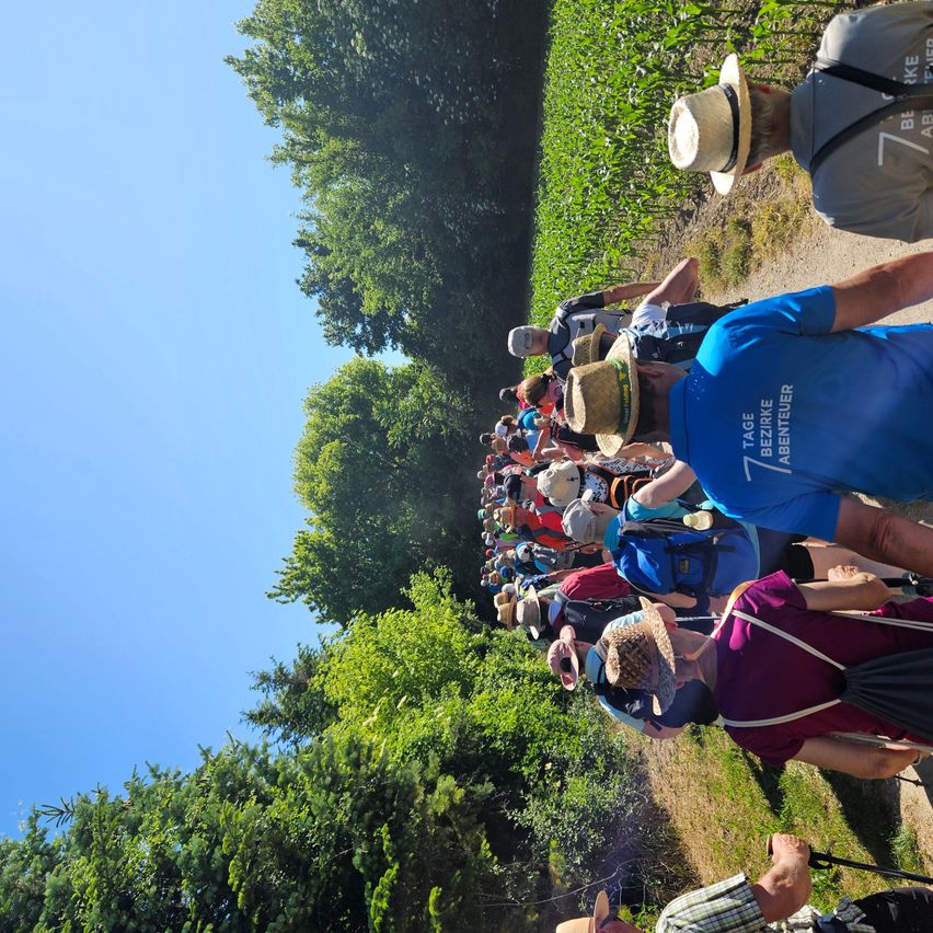 A group of hikers in various colored shirts, hats, and backpacks walk down a path between trees. They appear to be on a sunny day.