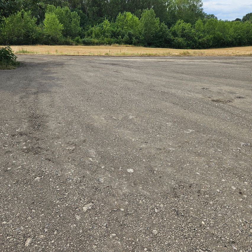 Ein leerer Schotterplatz mit einer Reihe von Bäumen und einer trockenen Grasfläche im Hintergrund.