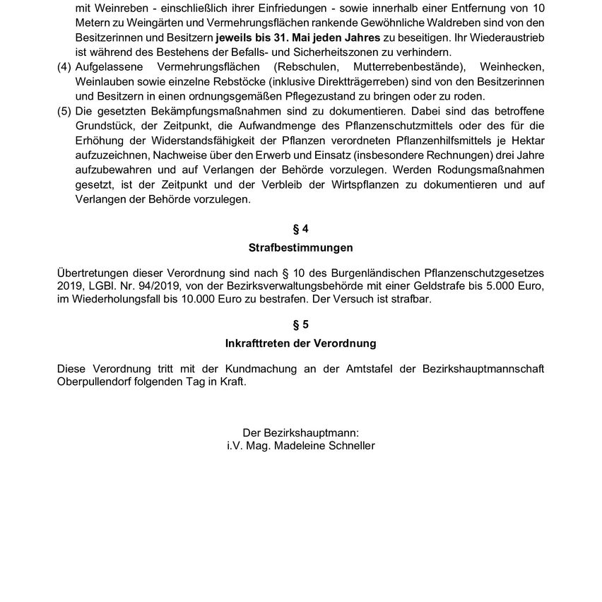 A document outlines regulations for wine cultivation and wine cellars, including restrictions on planting and maintaining grapevines within 10 meters of vineyards and wine cellars. Owners must provide documentation of planting and maintenance.
