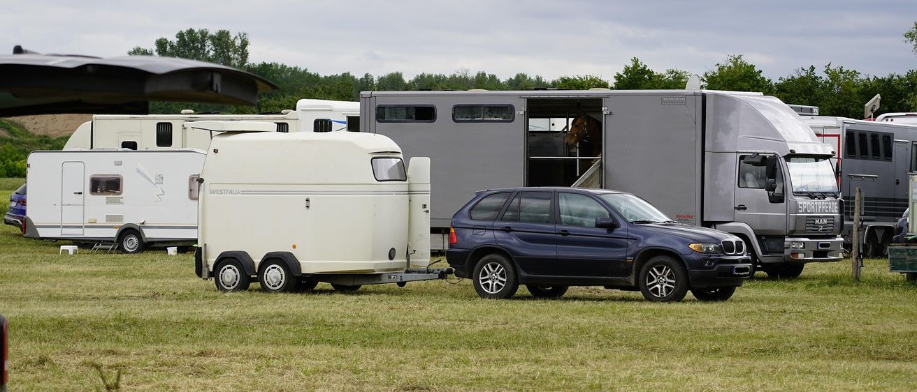 Ein Pferdeanhänger steht auf einem Grasfeld, und ein Pferd ist darin. Ein dunkelblaues Auto ist daneben geparkt, mit einem Pferdeanhänger. Andere Pferdeanhänger stehen dahinter. Bäume sind im Hintergrund.