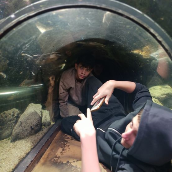 Zwei Jungen sind in einem Aquariumstunnel. Einer liegt mit einem Telefon, während der andere darin sitzt. Es gibt Steine und Fische im Tunnel.