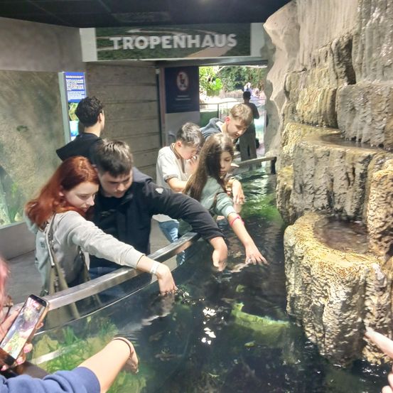 Eine Gruppe von Menschen versammelt sich um ein großes Aquarium und beobachtet Fische. Das Aquarium ist mit Felsen geschmückt und hat einen Wasserfall. Sie scheinen Touristen in einem Tropenhaus zu sein.
