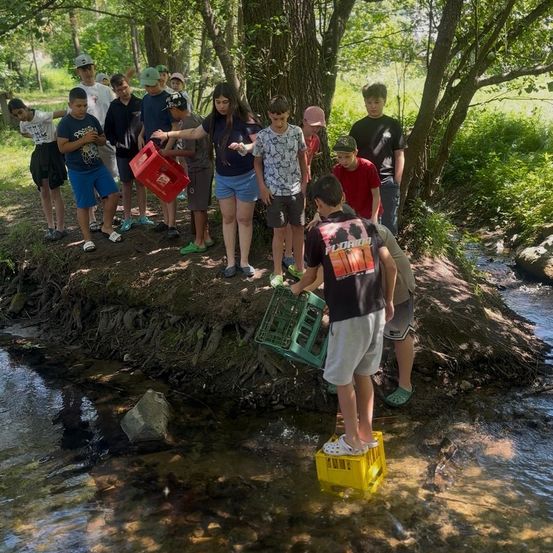 Eine Gruppe junger Menschen in Freizeitkleidung steht am Ufer eines Baches. Einige halten Kisten, und zwei stehen im Wasser. Die Szene spielt sich im Freien mit Bäumen und Grünpflanzen ab.