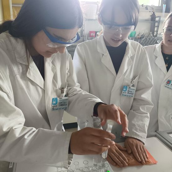 Drei Labortechnikerinnen in weißen Laborkittel und Schutzbrillen arbeiten in einem Labor. Sie konzentrieren sich auf eine Aufgabe mit Pipette und Reagenzgläsern.
