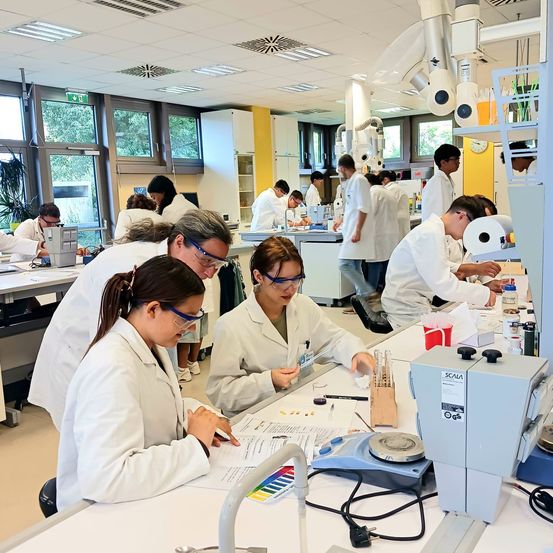 Eine Gruppe von Studenten in Laborkittel arbeitet in einem Labor. Sie betrachten Reagenzgläser und arbeiten an einem Projekt.
