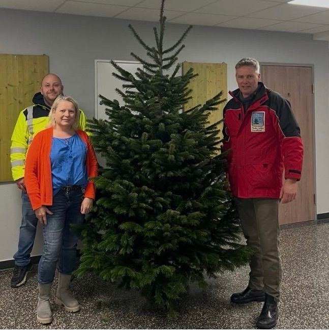 Drei Personen stehen neben einem großen Weihnachtsbaum in einem Raum. Ein Mann in einer gelben Jacke, eine Frau in einem orangefarbenen Cardigan und ein Mann in einer roten Jacke.