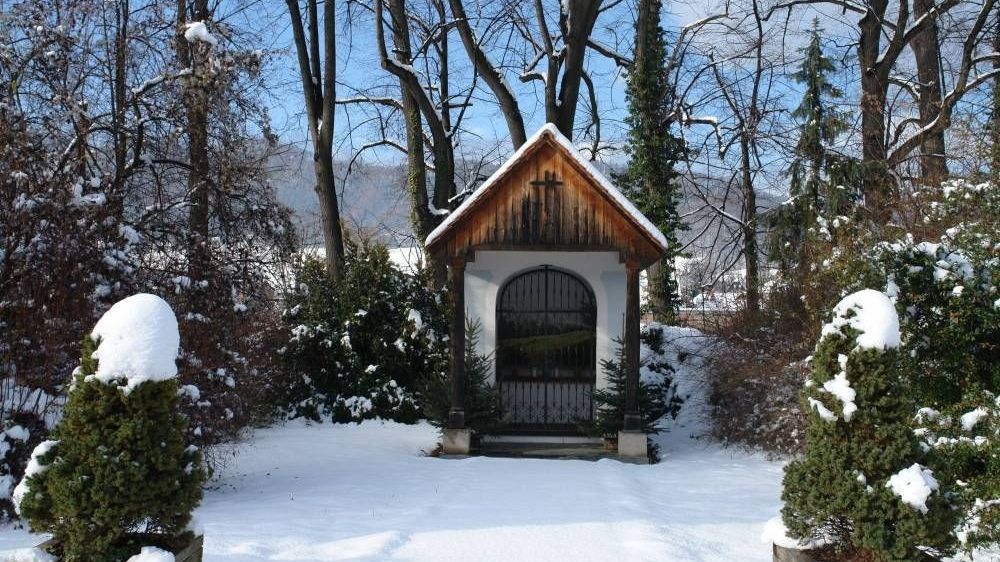 v1_migrated_image_29616183