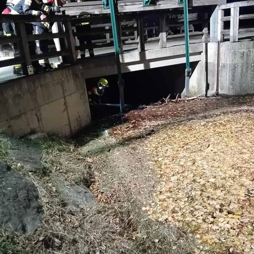 Feuerwehrleute in Schutzkleidung arbeiten an einer Brücke. Einer ist in einem Tunnel, möglicherweise bei einer Rettung. Laub und Schutt liegen auf dem Boden.
