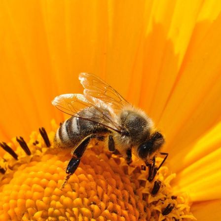 v1_migrated_image_35097062