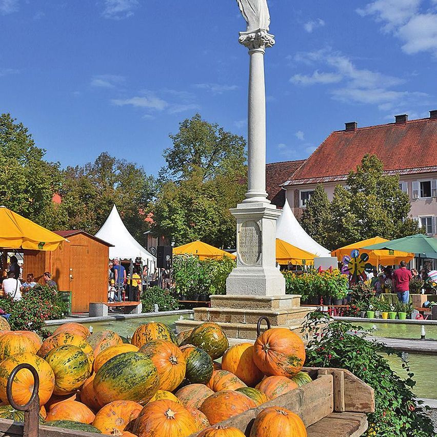 Bild enthält, Food, Plant, Produce, Pumpkin, Vegetable, Person, Squash