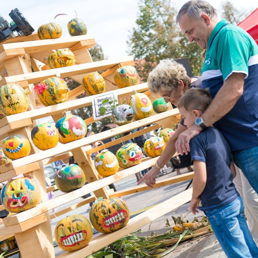 Bild enthält, Jeans, Pants, Person, Adult, Male, Man, Wristwatch, Face, People, Outdoors