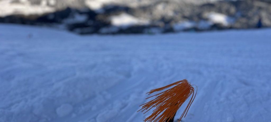 Ein kleines oranges Objekt mit mehreren Strängen ragt aus einem Loch im Schnee. Das umliegende Gebiet ist schneebedeckt und zeigt entfernte Berge.