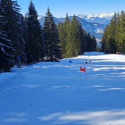 Eine Ski-Piste mit mehreren Skifahrern und roten Flaggen im Schnee. Im Hintergrund verschneierte Bäume und Berge.