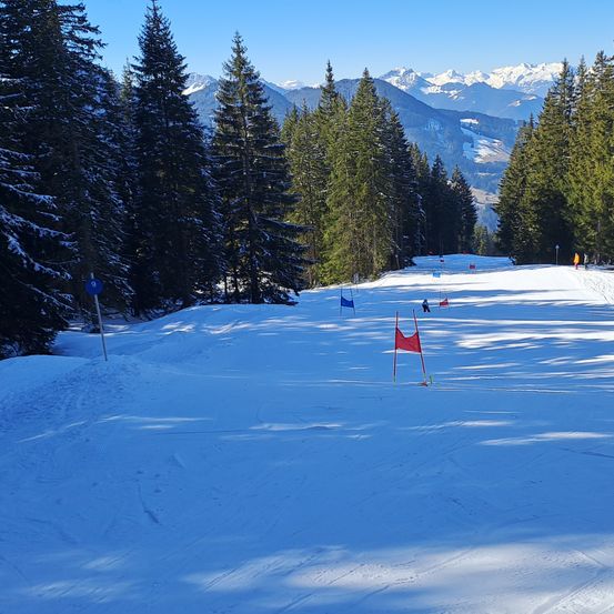 Eine Ski-Piste mit mehreren Skifahrern und roten Flaggen im Schnee. Im Hintergrund verschneierte Bäume und Berge.