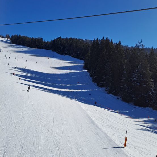 Eine Skipiste mit mehreren Skifahrern und einem klaren blauen Himmel. Bäume säumen die Seiten, und eine Seilbahn ist oben sichtbar.
