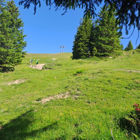 Zwei Wanderer befinden sich auf einem grasbewachsenen Pfad in einem bergigen Gebiet unter blauem Himmel. Bäume und Büsche befinden sich auf beiden Seiten.