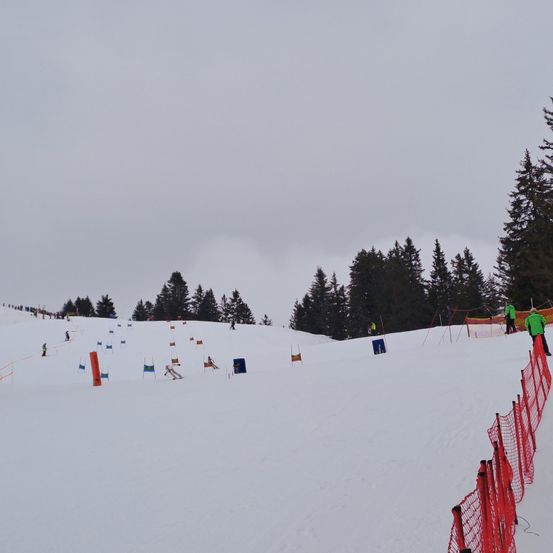 Eine verschneite Skiabfahrt mit mehreren Skifahrern, die hinunterfahren. Der Bereich ist von roten Netzen umschlossen, und Fahnen sind im Schnee platziert. Bäume säumen die Seiten der Piste.