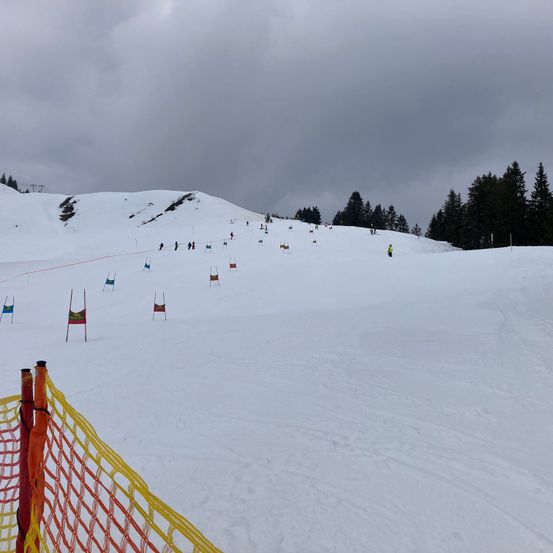 Eine Skipiste mit mehreren Skifahrern und zahlreichen farbigen Stangen. Die Piste ist breit und schneebedeckt. Bäume umgeben das Gebiet. Der Himmel ist bewölkt.