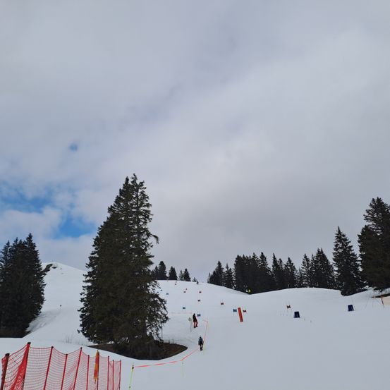 Eine verschneite Skipiste mit mehreren Skifahrern, umgeben von Kiefern und einem bewölkten Himmel. Ein roter Netzzaun markiert die Grenze.