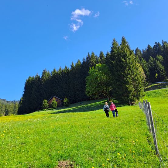 Zwei Personen laufen auf einem Grashügel mit einem Holzzaun, einem Haus und hohen Bäumen im Hintergrund. Der Himmel ist blau mit einer einzelnen Wolke.
