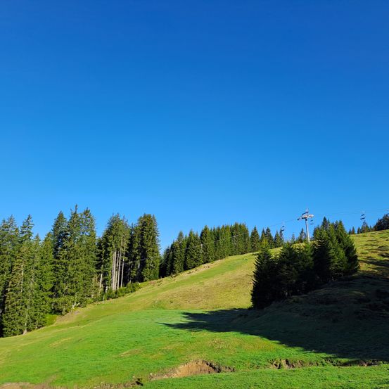 Ein sonniger Tag mit klarem blauem Himmel, einem üppigen grünen Hügel und einer Skilift im Hintergrund. Der Vordergrund zeigt ein grasiges Feld mit Bäumen und Schatten.