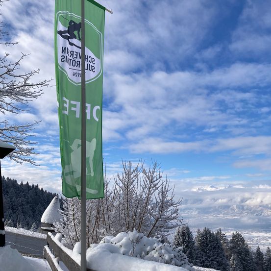 Ein grüner Banner mit dem Umriss eines Skifahrers weht in der verschneiten Alpenlandschaft mit bewölktem Himmel. Bäume und Berge sind im Hintergrund zu sehen.