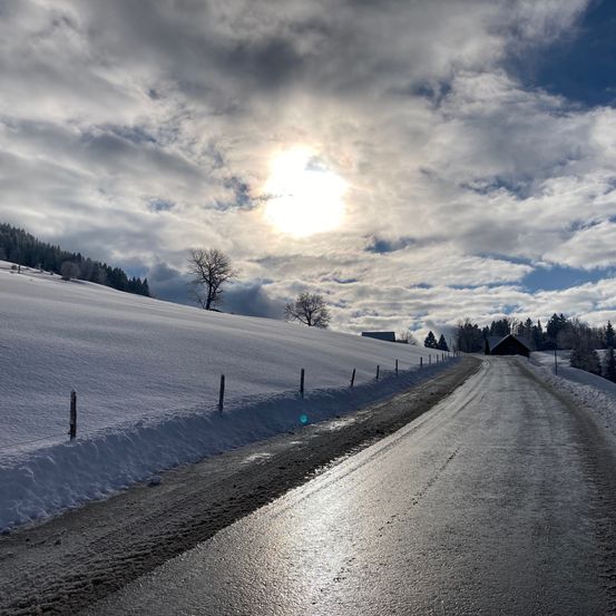 Eine verschneite Straße mit einem strahlend hellen Sonnenschein, umgeben von einer verschneiten Landschaft mit Zäunen und Bäumen.