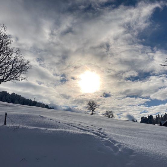 Ein verschneiter Hügel mit einer strahlenden Sonne, die durch die Wolken scheint. Kahle Bäume und ein entferntes Gebäude sind sichtbar.