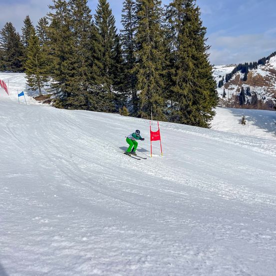 Ein Skifahrer in Grün fährt einen schneebedeckten Hang hinunter und passiert rote Flaggen, mit einem Hintergrund aus Tannen und Bergen.