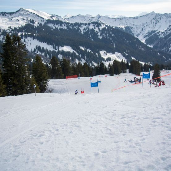 Skifahrer eilen einen schneebedeckten Berghang hinunter, wobei blaue Flaggen und Stangen die Strecke markieren. Bäume umgeben die Hänge und Berge bilden den Hintergrund.