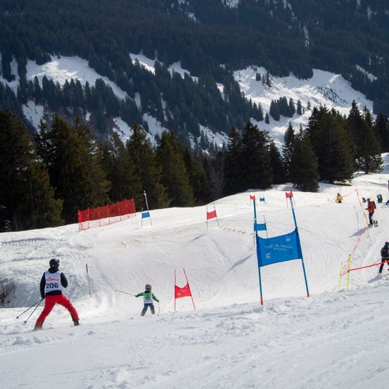 Skifahrer treten bei einem Slalomrennen auf einem verschneiten Berg an. Die Skifahrer tragen Helme, Skianzüge und Skischuhe. Die Strecke ist mit Fahnen und Schildern versehen, wobei ein Skifahrer mit der Nummer 206 in Führung ist.