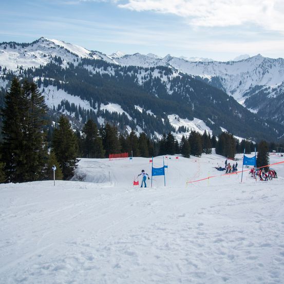 Ein Skirennen findet auf einem verschneiten Berg mit Kiefern und Flaggen statt, die die Strecke markieren. Der Rennfahrer fährt bergab.